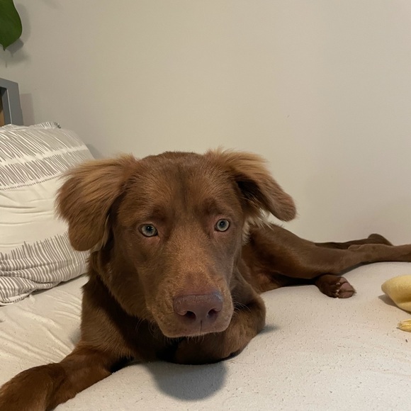 Meet your Posher, Justin - Picture 1 of 1